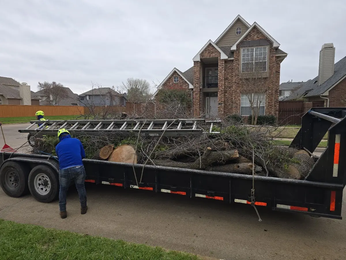 Expert Crown Reduction with proper safety equipment in Belvidere